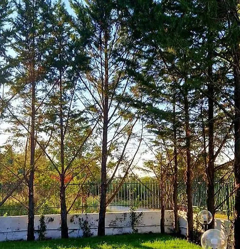 Leyland 라우레아나 실렌토