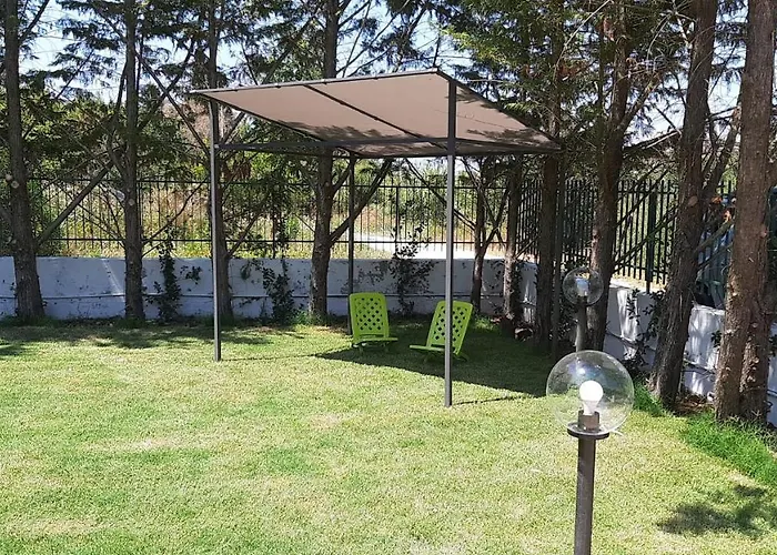 Leyland * 라우레아나 실렌토