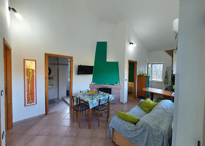 Leyland * 라우레아나 실렌토